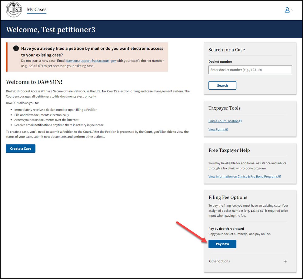 Pay filing fee option using debit or credit card